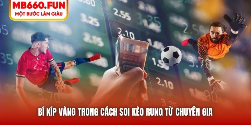 Bí kíp vàng trong cách soi kèo rung từ chuyên gia