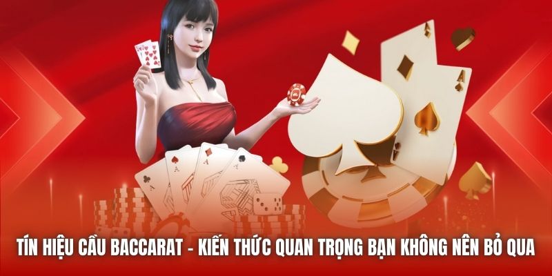 Tín hiệu cầu Baccarat - kiến thức quan trọng bạn không nên bỏ qua 