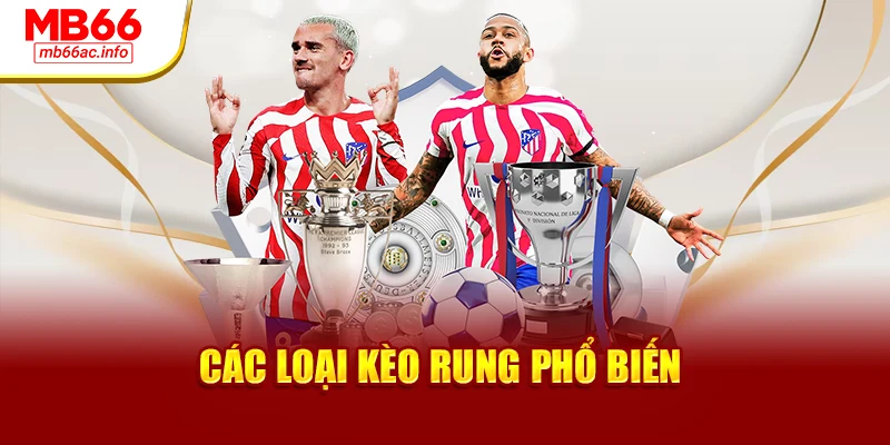 Các loại kèo rung phổ biến