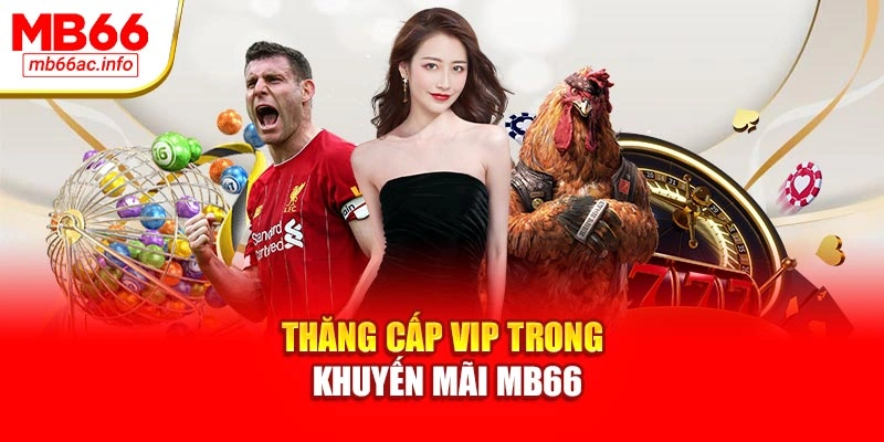 Thăng cấp VIP trong khuyến mãi MB66